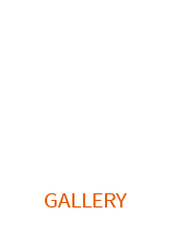행복한 꽃차카페 